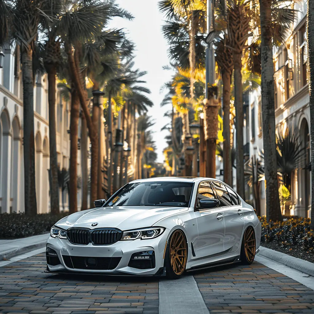 BMW F30 | AutoWin Floor Mats